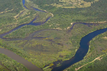 Foto: Thomas Bauer | SOS Mata Atlântica