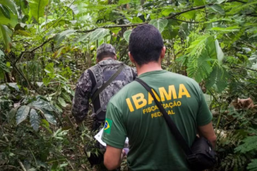 Foto: Vinicius Mendonça | Ibama